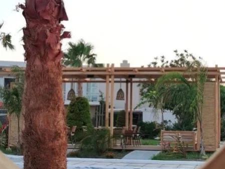 beach bar in kos