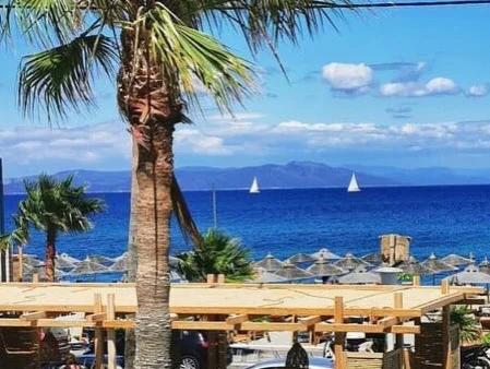 beach bar in kos